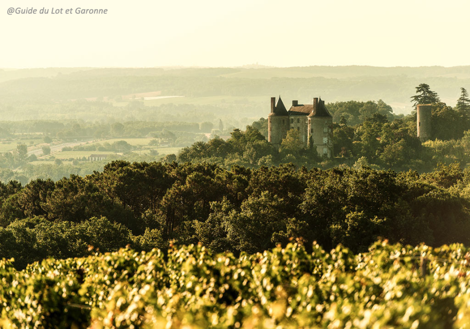 Paysage Buzet